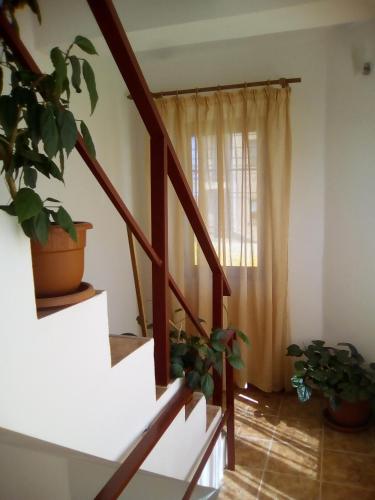Casa Mara M8 - image 7