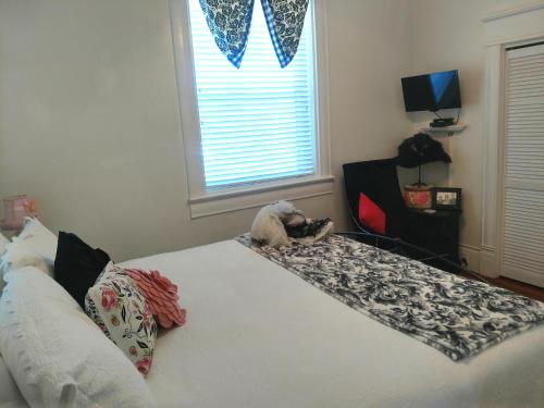 Sandstone Street Bed and Breakfast in Llano, USA