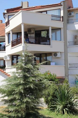 Yankov's House - image 4