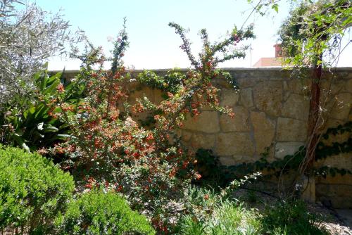 Hotel Rural San Miguel - Only Adults - image 9