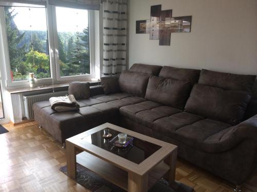 Ferienwohnung Braunlage Kolsdorf A in Браунлаге