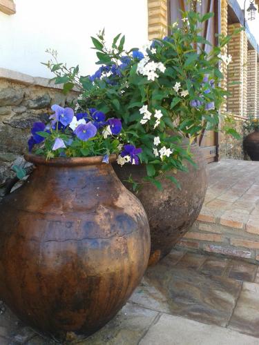 Finca El Chaparral - image 2