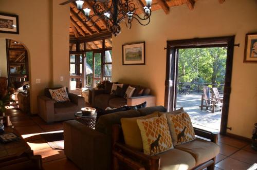 Moholoholo Forest Camp 2