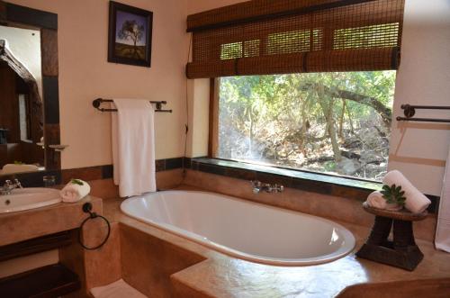 Moholoholo Forest Camp 3