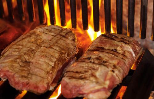 Logis Hotel Lons-le-Saunier - Restaurant Le Grill - image 9
