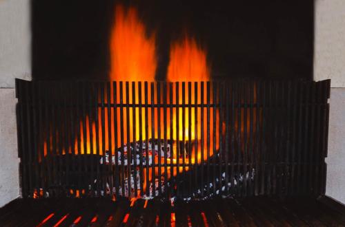 Logis Hotel Lons-le-Saunier - Restaurant Le Grill - image 12