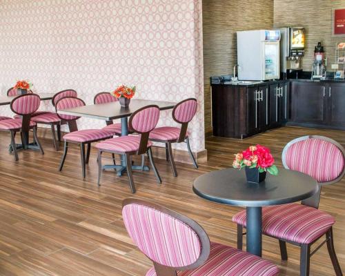 Comfort Inn & Suites San Marcos - image 12