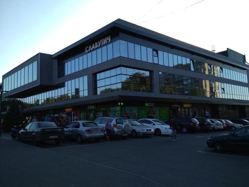Apartment on Oleksandra Polia Avenue