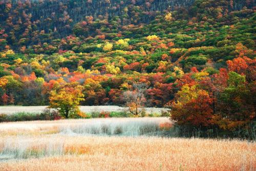 Hyatt House Fishkill-Poughkeepsie