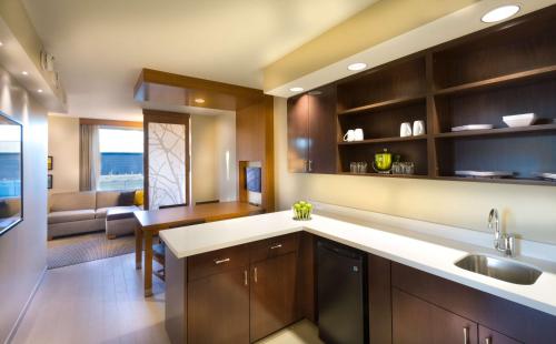 华盛顿特区凯悦嘉轩酒店/国家广场店 华盛顿特区凯悦嘉轩酒店/国家广场店