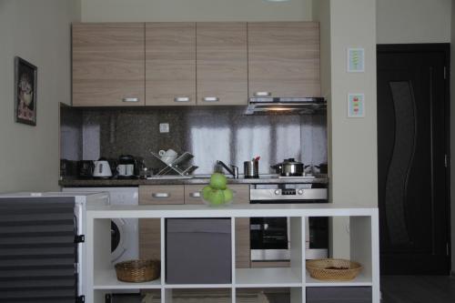 Apartment Europa 46 close to center - image 13