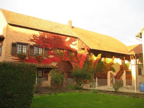 A l'Ancienne Ferme - Location saisonnière - Sarre-Union