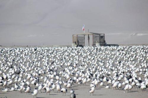 Guesthouse Playa Chinchorro