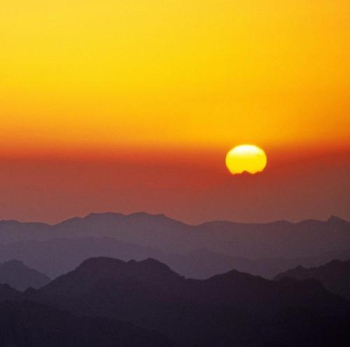 

The Rising Dawn