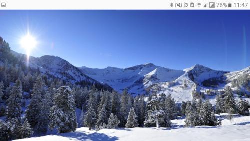 Jelmon Anstalt Restaurants Schneeflucht in วาดุซ