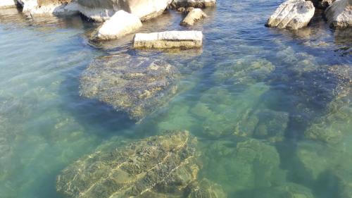 King Apartment - image 13