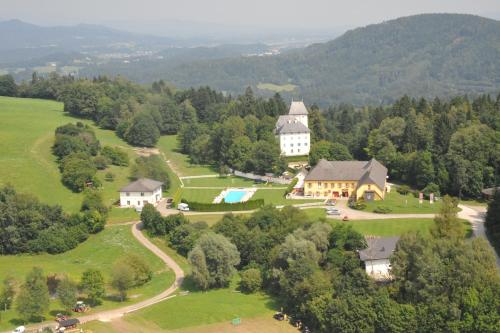 Gut Drasing - image 3