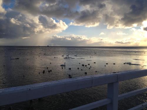 Apartament Bornholm Apartament Bornholm