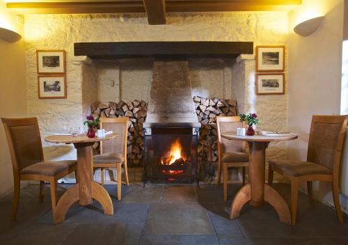 Étterem, Dartington Hall in Totnes