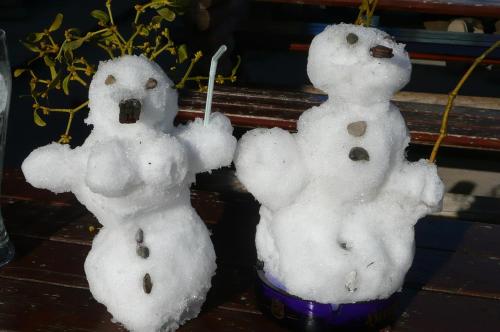 Almhotel Fichtenheim - image 3