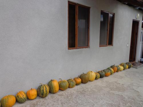 Anush`s B&B - image 8
