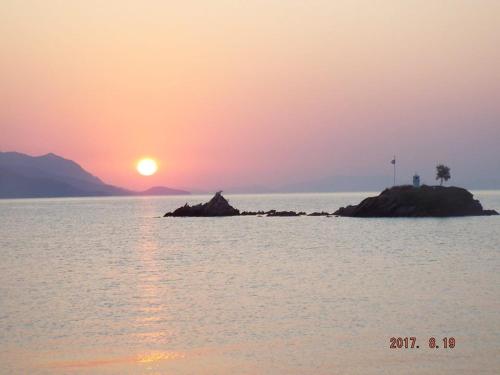 Theoxenia - image 5