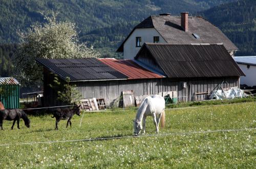 Stoffis Hütten - image 3