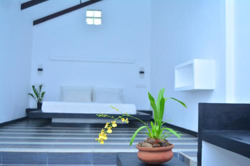 迷迪加玛假日宾馆 迷迪加玛假日宾馆