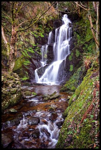 The Island & Fairfield in Douglas