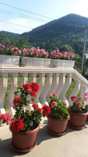 Apartment with Garden View