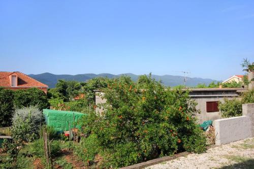 Studio Viganj 10189b in 20267 Kučište