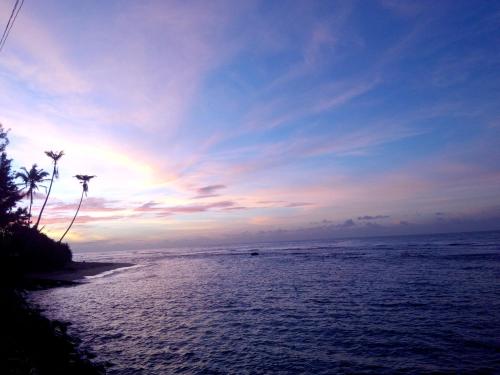 海龟生态海滩酒店