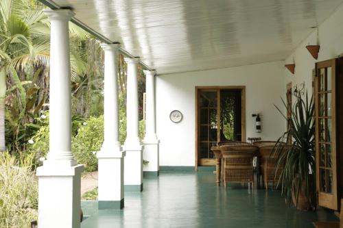 ระเบียง/ชานเรือน, York Lodge. in นิวแลนด์