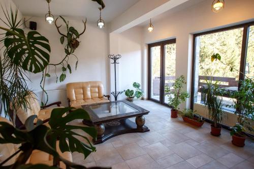 Pension Perla Bucovinei - image 13