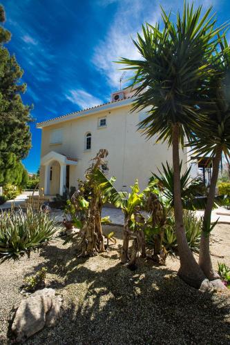 Merab Center Villas - image 7