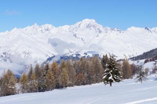 Chalet Les Amis - image 2