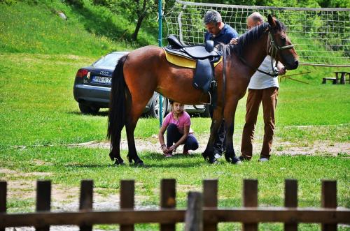 Seoski turizam Ziličina Rogatica - image 3