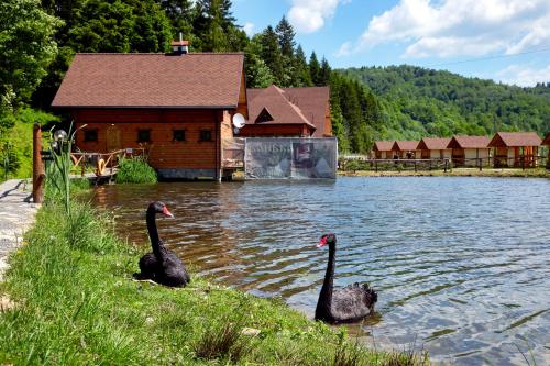 Osonnya Karpaty RESORT MEDICAL & SPA