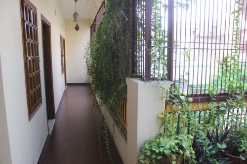 Homestay - image 2