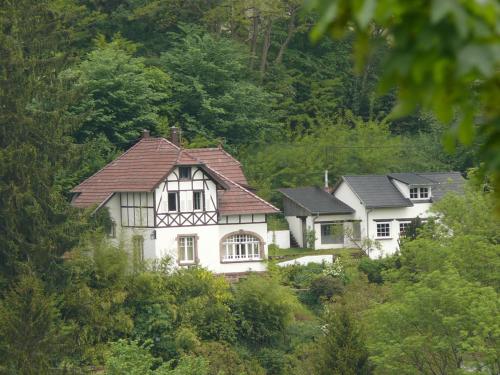 La Dependance de la Villa des Oiseaux - La Petite Pierre - Accommodation - La Petite-Pierre