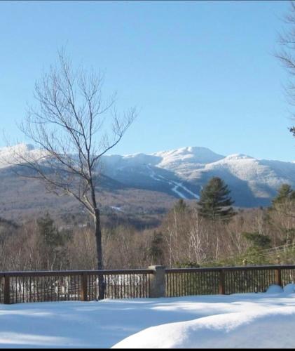 Condo at Topnotch Resort - Accommodation - Stowe