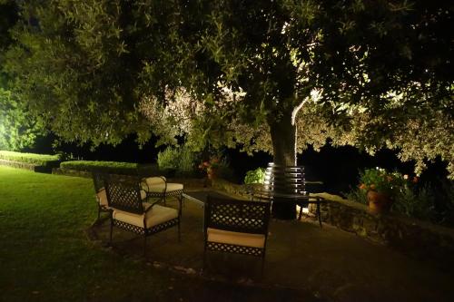 Villa Del Medico - image 2