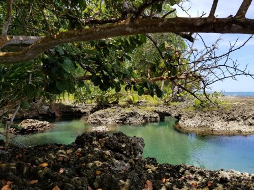 Piscina Natural on the Sea – Cahuita, LA