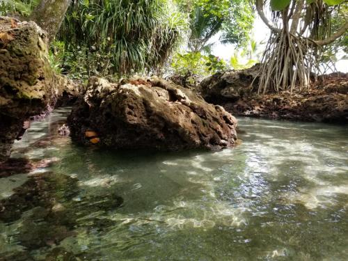 Piscina Natural on the Sea – Cahuita, LA