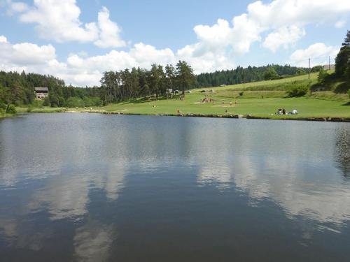 Hôtel De La Plage - image 4