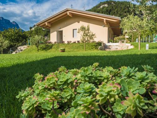 入口, La Gazza Ladra Apartments - Garda Chill Out in 德利納