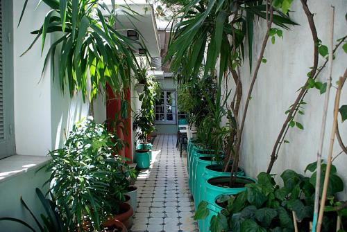 Pagration Youth Hostel, Афины