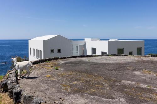 Lofts Azul Pastel - image 5