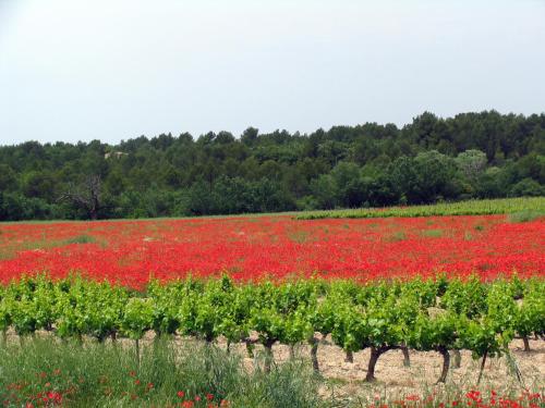 la Bergerie de Remourase