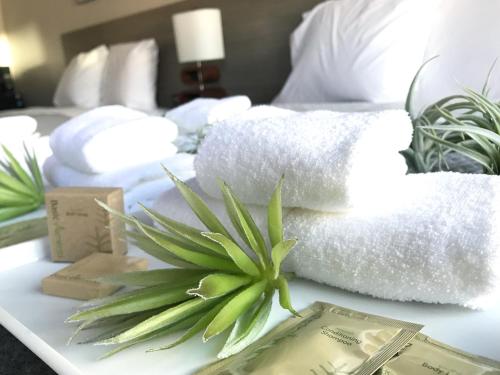 Airport Inn
